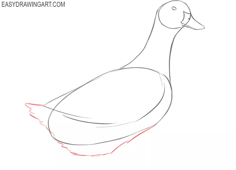 how to draw a cute duck step by step