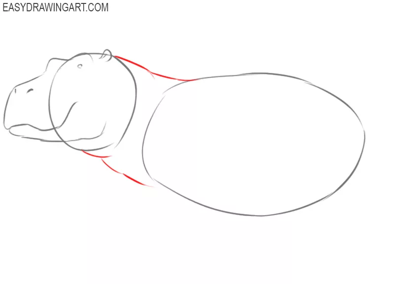 how to draw a cute hippopotamus 