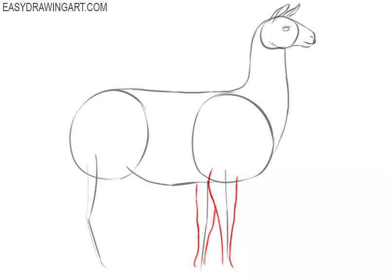 how to draw a cute llama