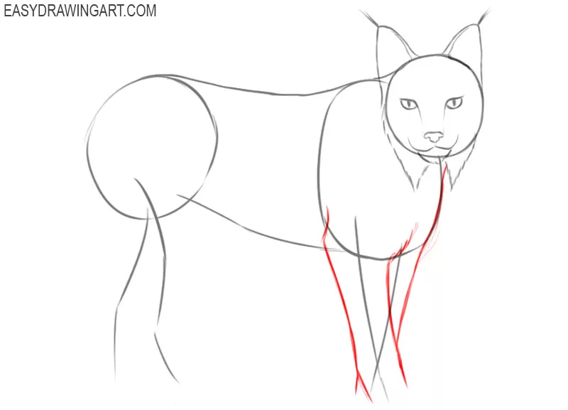 how to draw a cute lynx