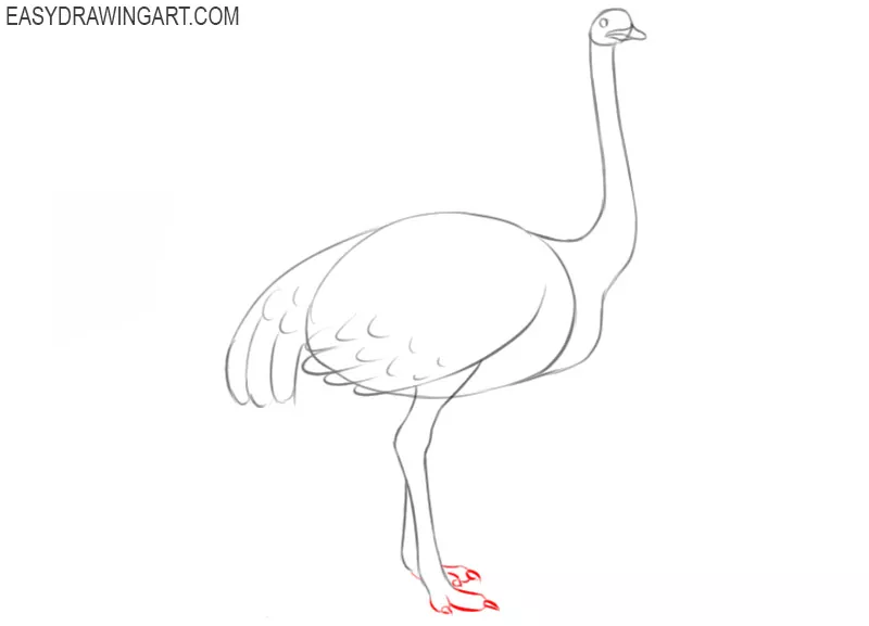 how to draw a cute ostrich