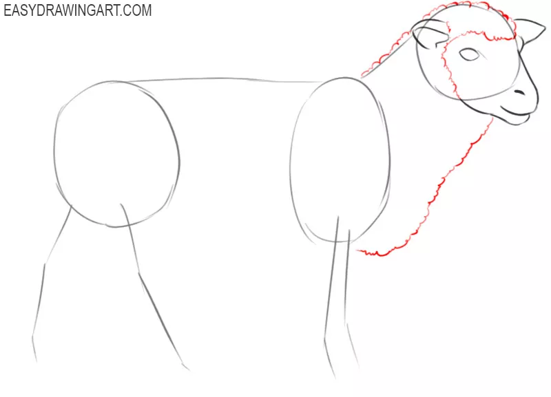 how to draw a cute sheep easy
