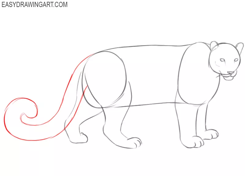 how to draw a cute snow leopard step by step