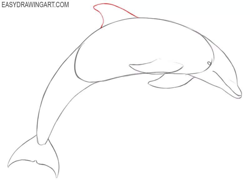 how to draw a dolphin by steps 