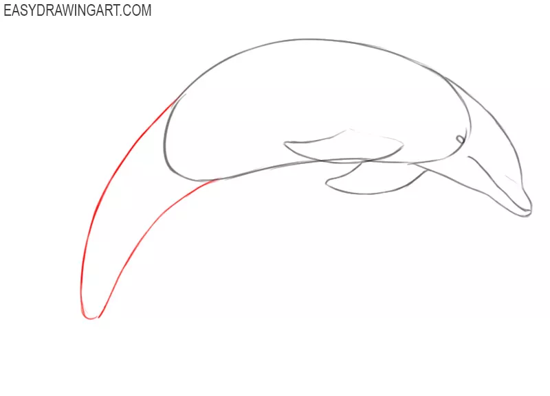 How to Sketch Dolphin - YouTube