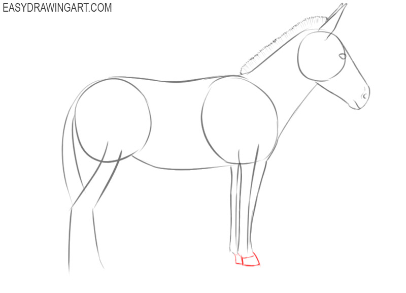 how to draw a donkey cute