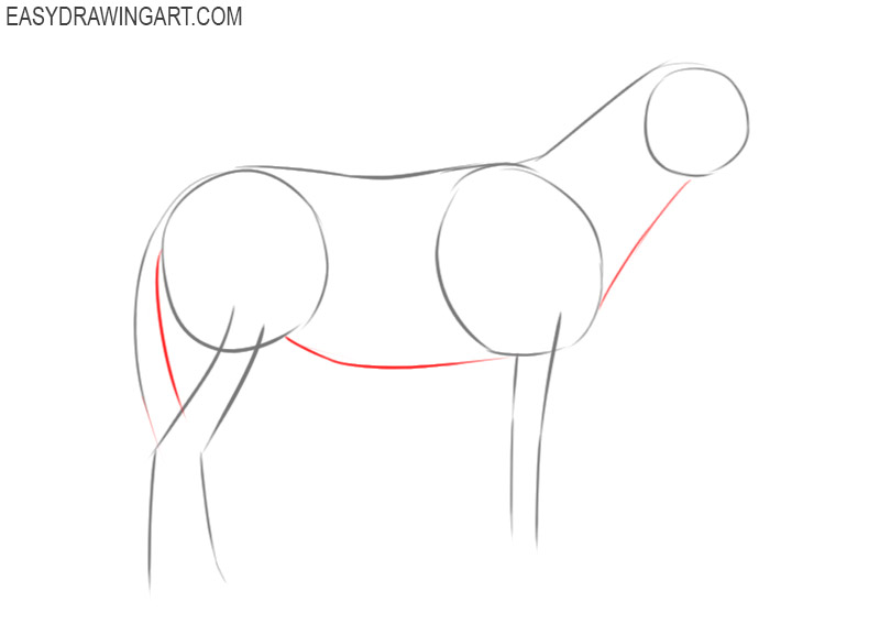 how to draw a donkey cartoon