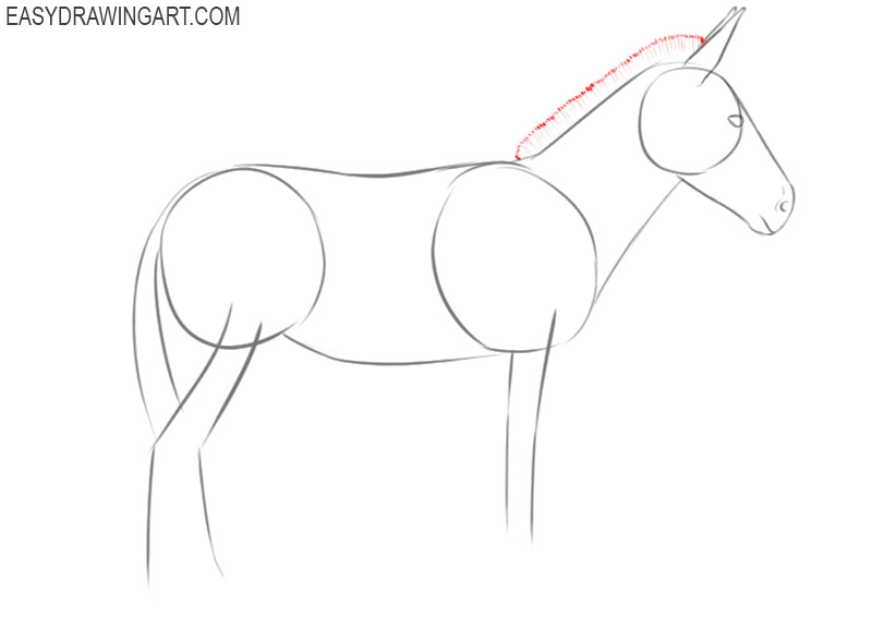how to draw a donkey step by step cartoon 