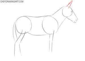 How to Draw a Donkey - Easy Drawing Art