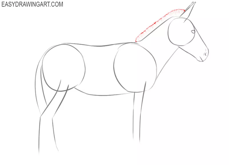 how to draw a donkey step by step cartoon 