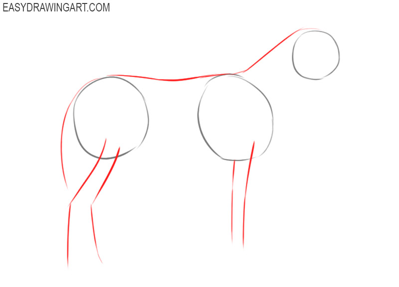 how to draw a donkey step by step easy 