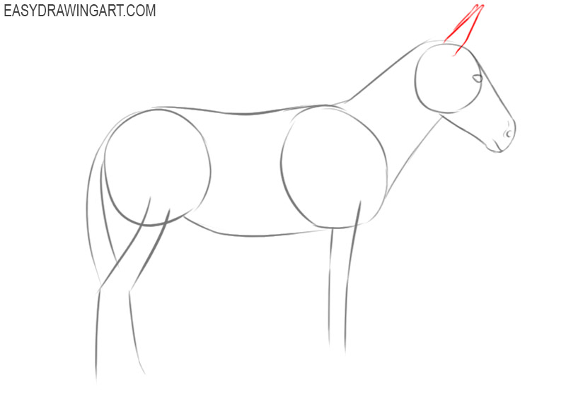 how to draw a donkey step by step 