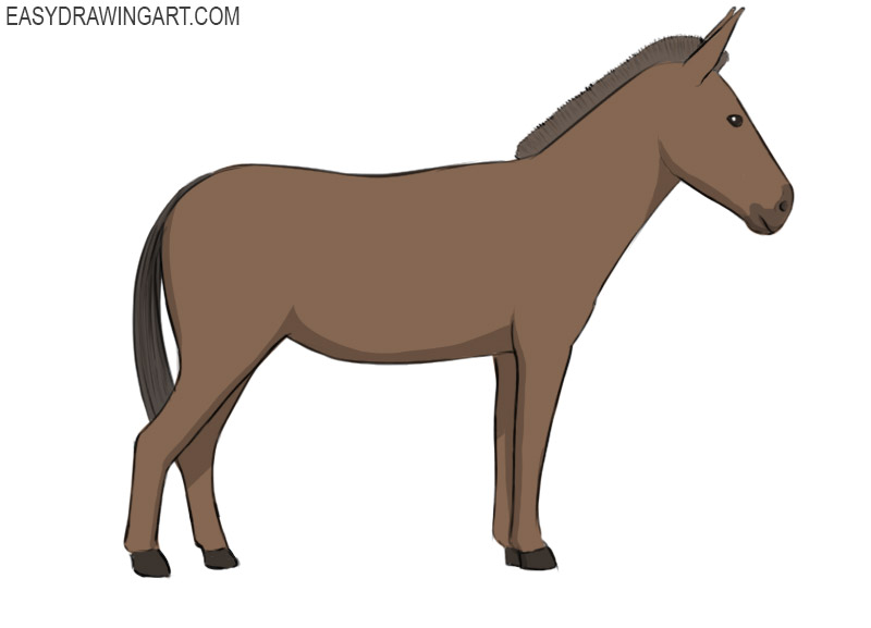 how to draw a donkey