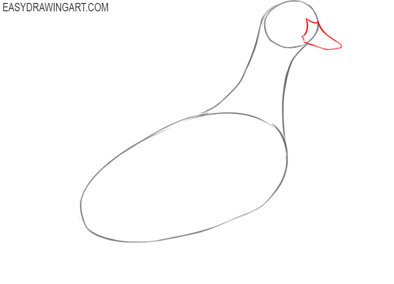 how to draw a duck body