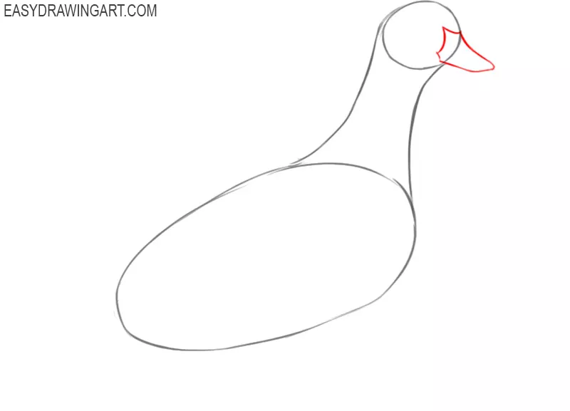 how to draw a duck body