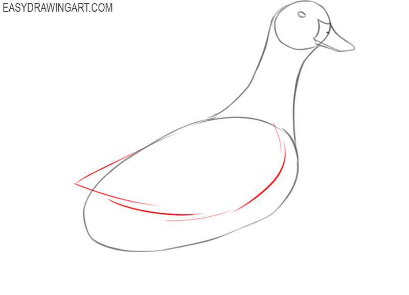 how to draw a basic duck