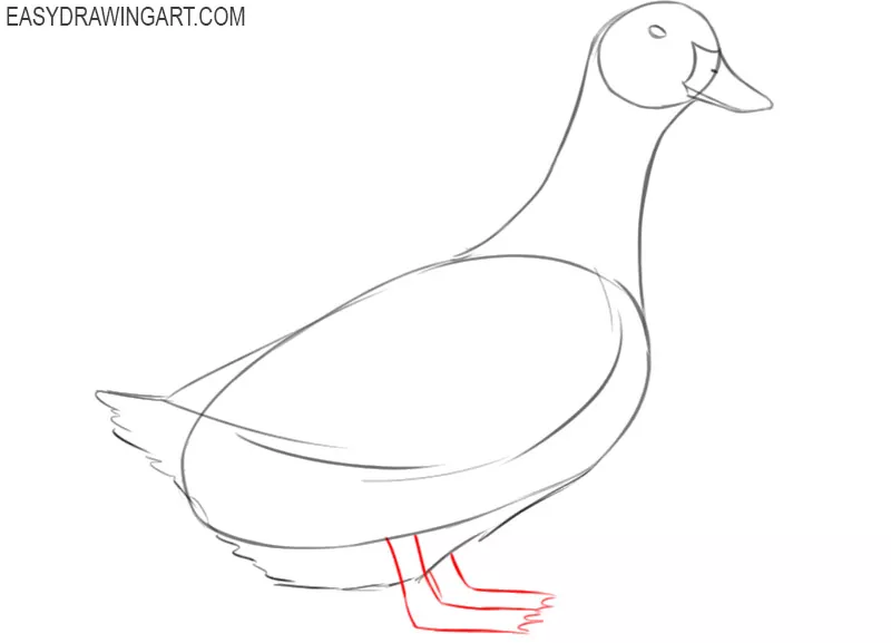 how to draw a easter duck