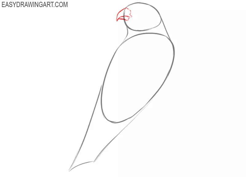 how to draw a falcon for beginners
