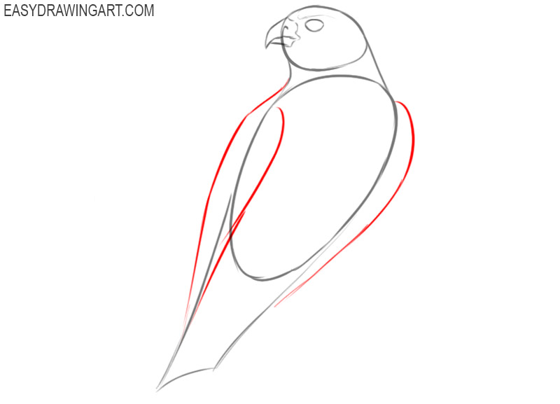 how to draw a falcon step by step easy