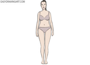 How to draw a female body