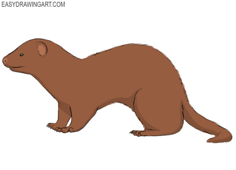 How to draw a ferret