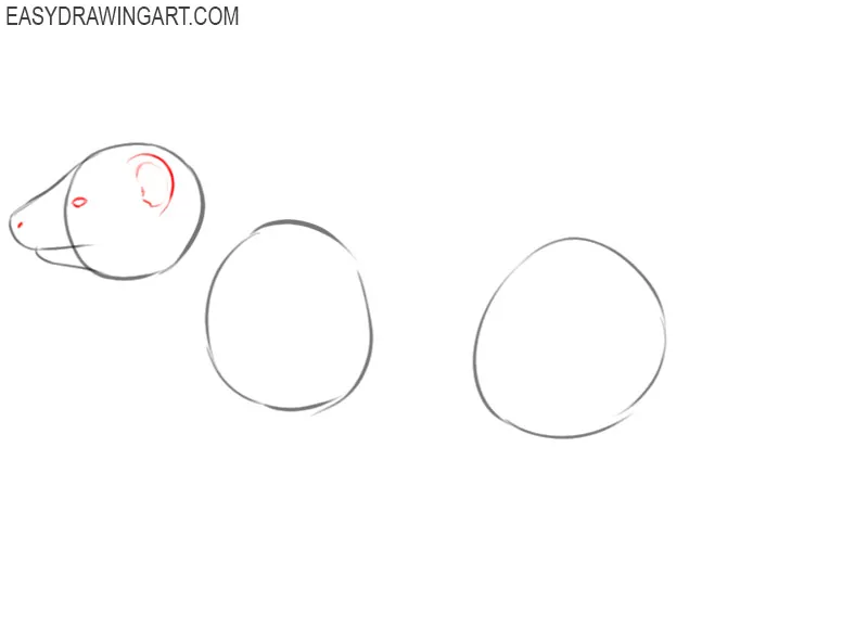 how to draw a cute ferret step by step