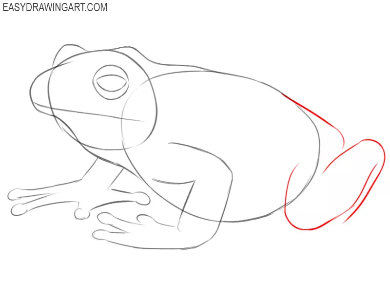 how to draw a frog by steps