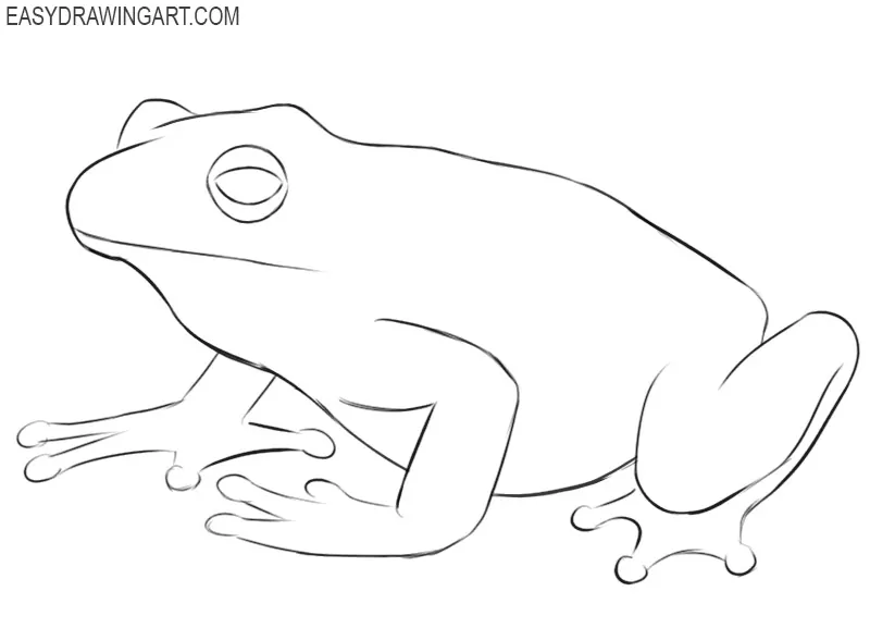 How to Draw a Frog - Easy Drawing Art