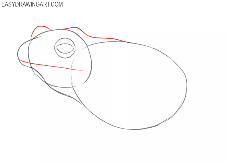 how to draw a frog cartoon