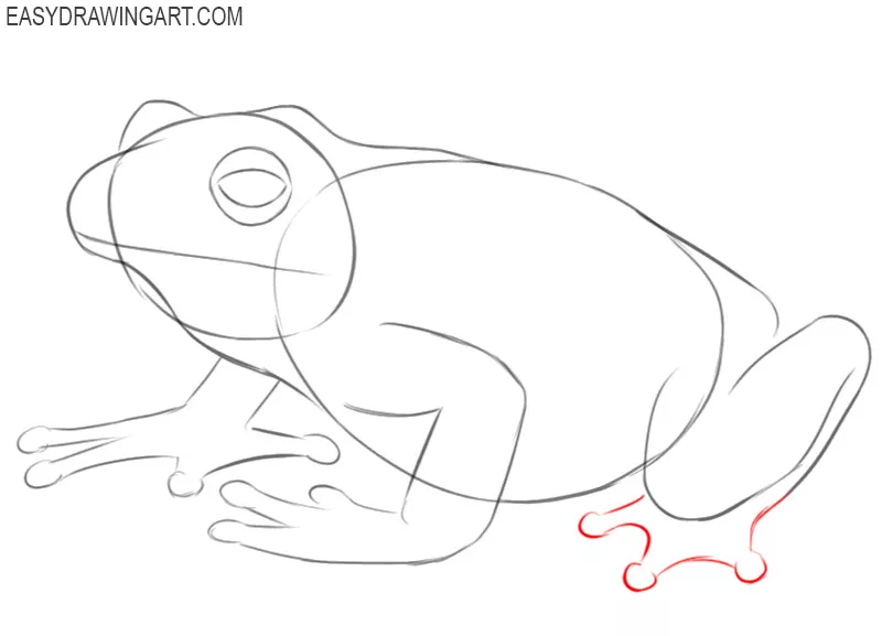 how to draw a frog cute