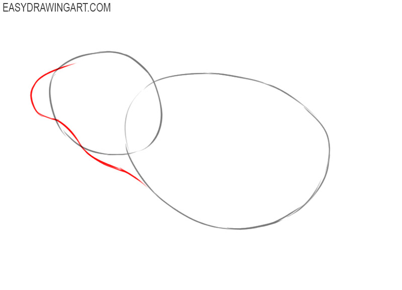 how to draw a frog step by step