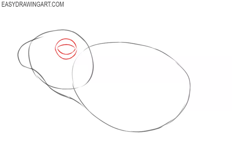 how to draw a frog for kids