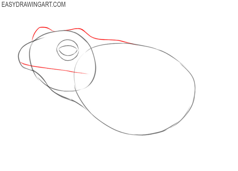 how to draw a frog cartoon