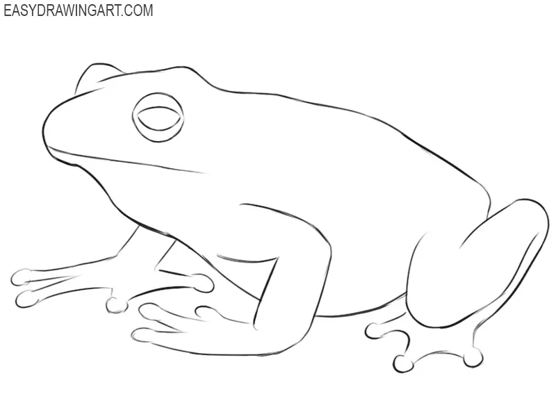 how to draw a frog cartoon step by step