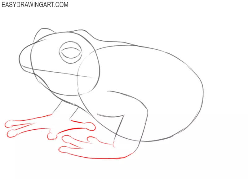 how to draw a frog step by step easy