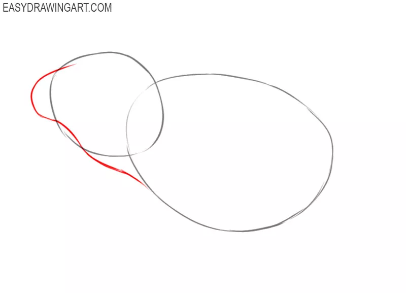 how to draw a frog step by step