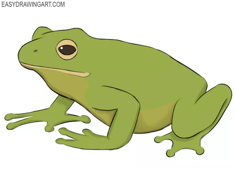 How to Draw an Easy Frog  Easy Drawing Tutorial For Kids