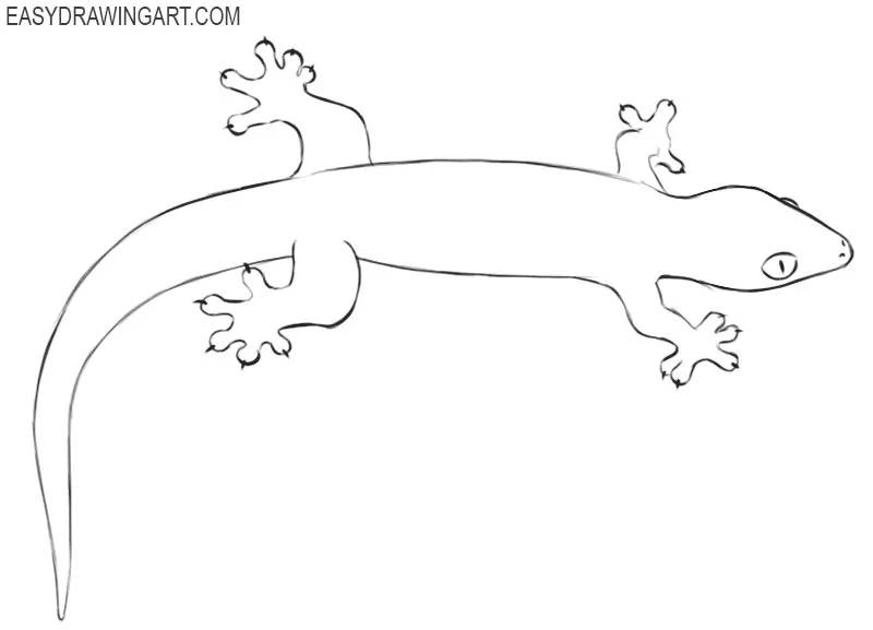 gecko drawing pictures