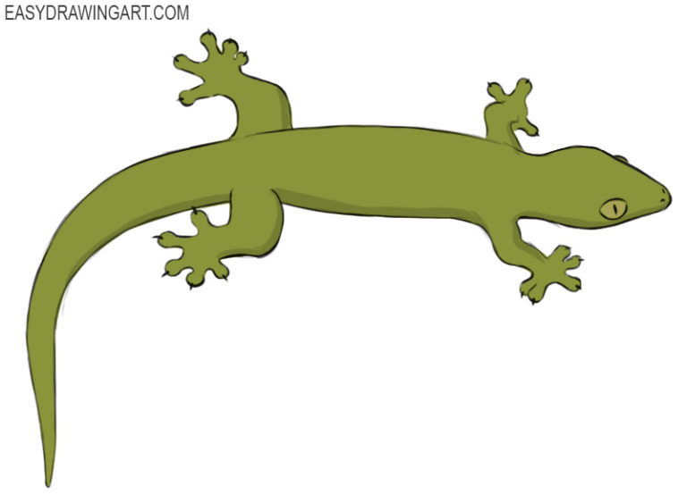 How to draw a gecko