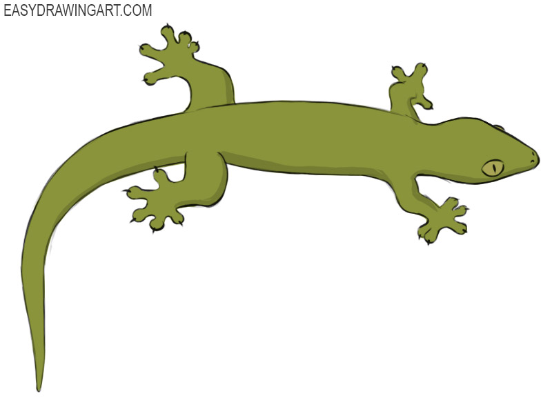 How to Draw a Gecko
