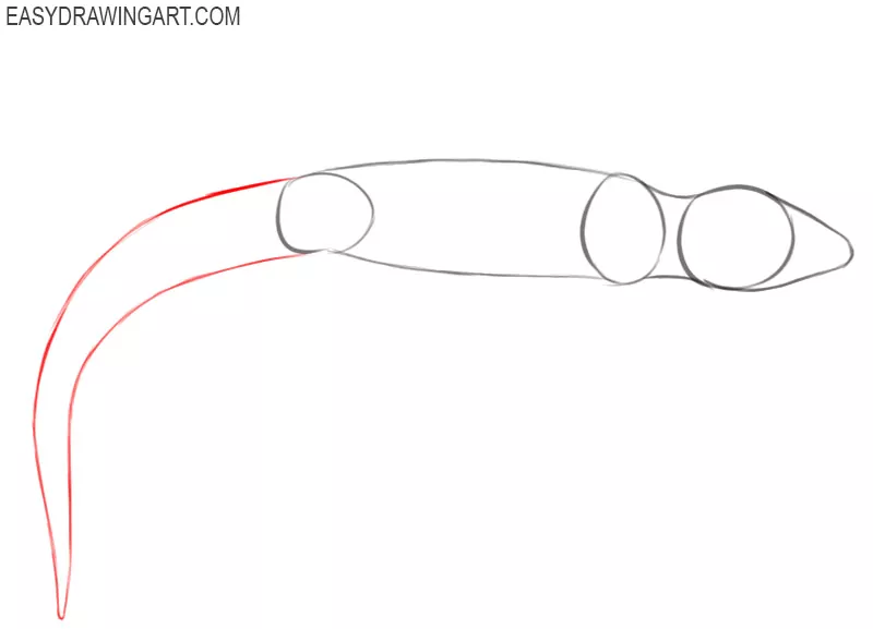 how to draw a gecko step by step