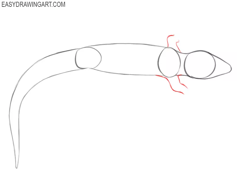 how to draw an easy gecko