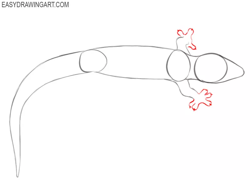 how to draw a gecko step by step easy