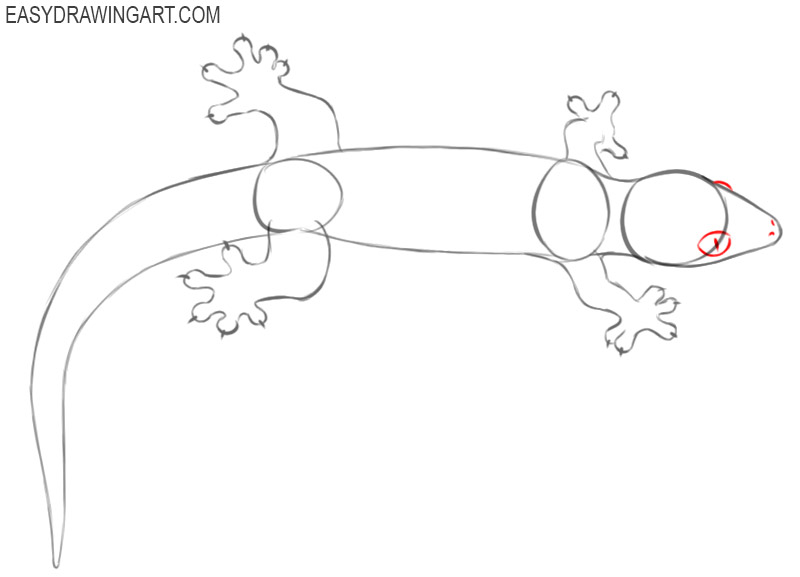 gecko drawing step by step 