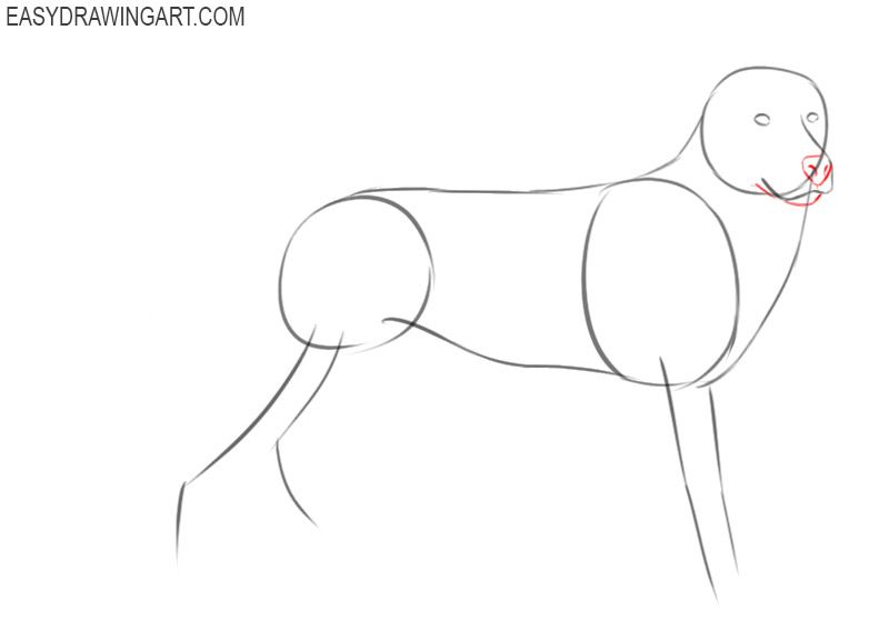 how to draw a german shepherd cute 
