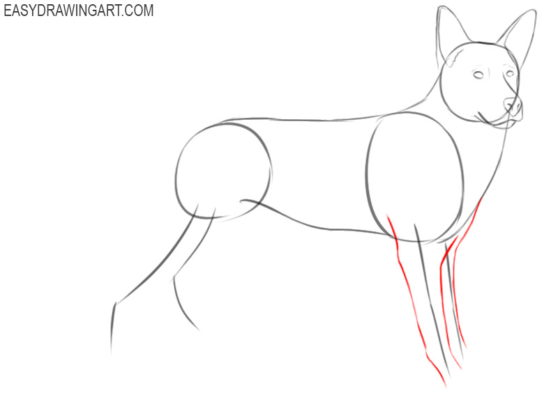 how to draw a cartoon german shepherd easy 