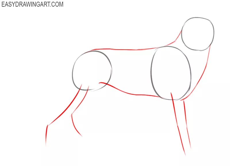how to draw a german shepherd step by step