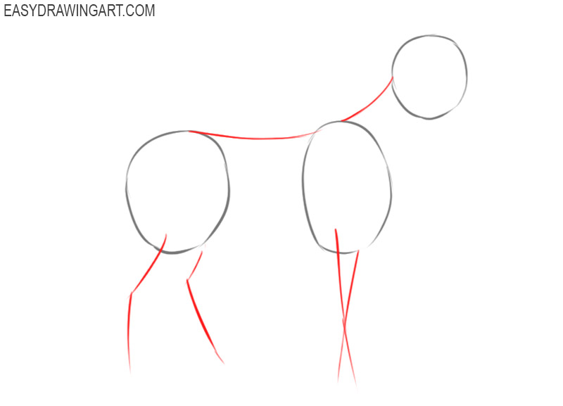 how to draw a goat for kids