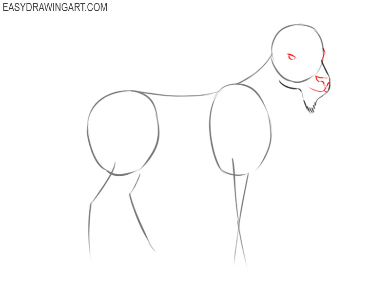 how to draw a simple cartoon goat