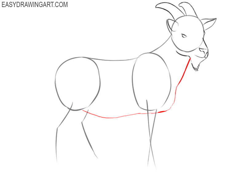 how to draw a simple goat step by step